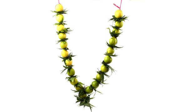 Lemon Garland