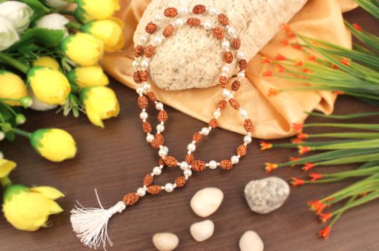 2 mukhi with Pearl mala