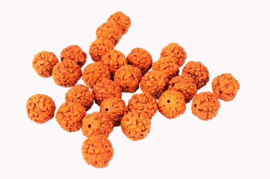 Rudraksha spacers