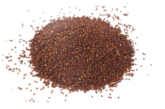 Beej Tulsi
