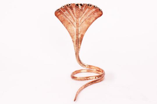 7 headed Naga Snake
