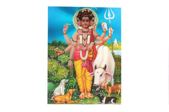 Lord Dattatreya Photo - Large