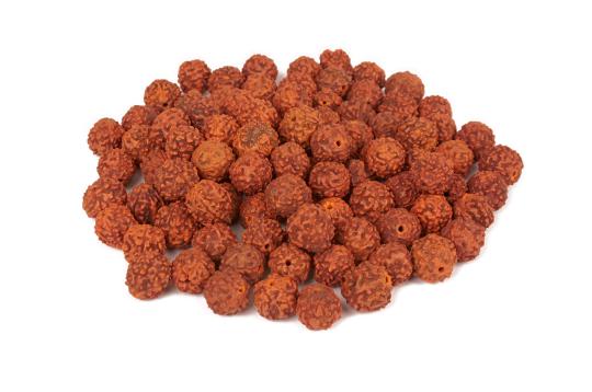 Rudraksha loose beads pack - 13mm