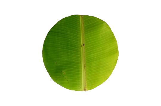 Banana leaves
