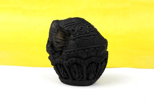 Dashavatar on Laxmi Narayan Shaligram Murti