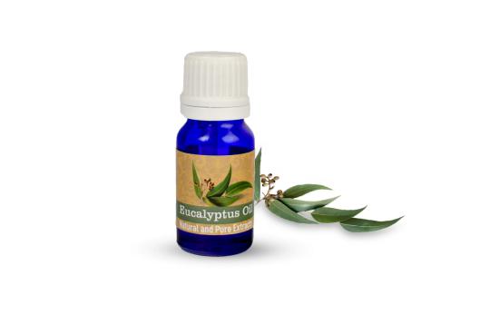 Eucalyptus Oil