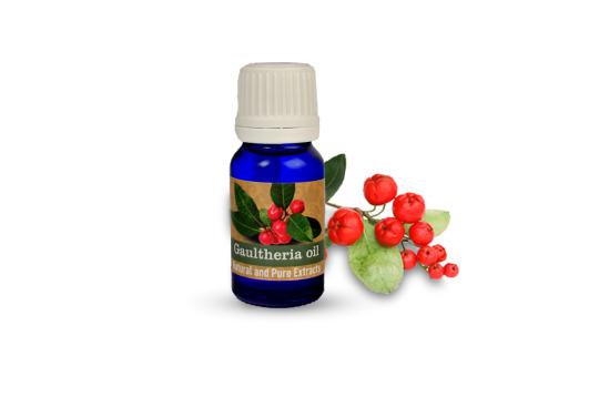 Gaultheria oil
