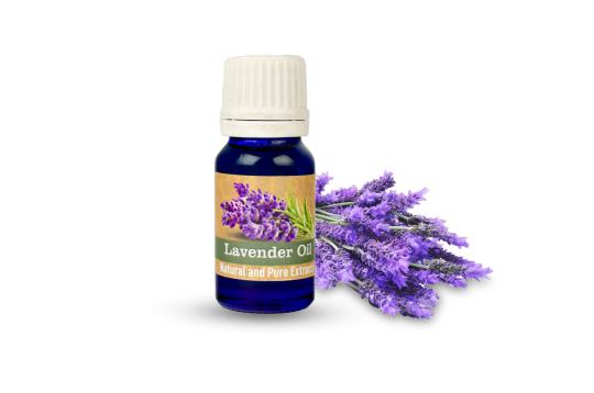 Lavender Oil