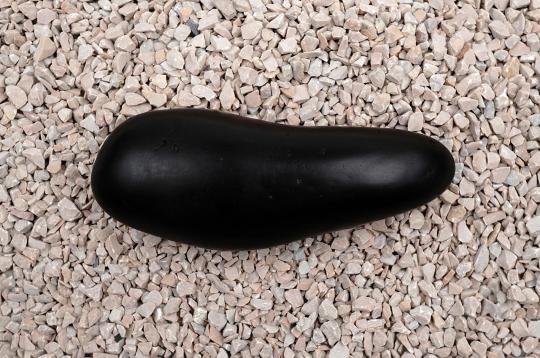 Matsya Shaligram Shila