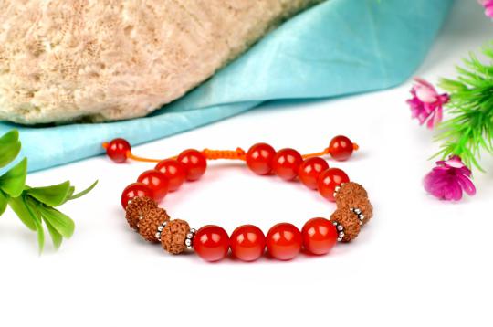 10 mukhi Rudraksha and Orange Carnelian beads Bracelet