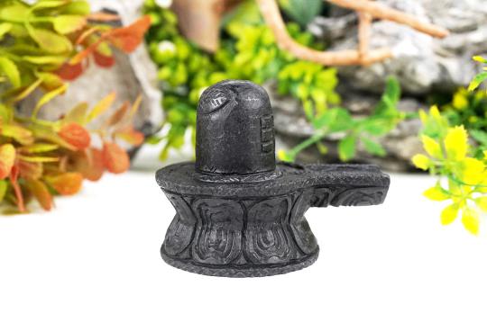 Shivaling Shaligram Murti - XVII