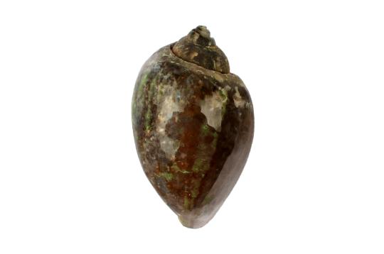 Kashthaa - The Goddess Who is Superior