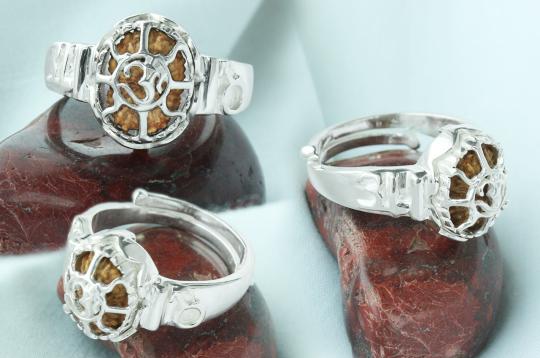 14 Mukhi Rudra Ring