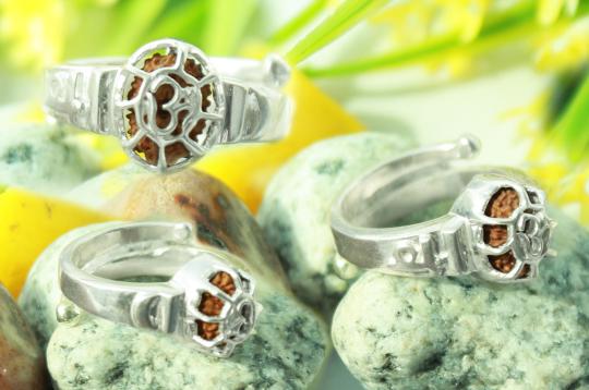 16 Mukhi Rudra Ring