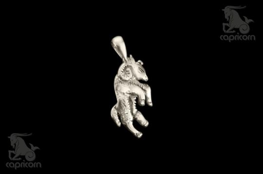 Capricorn Locket 