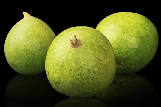 Bel Fruit