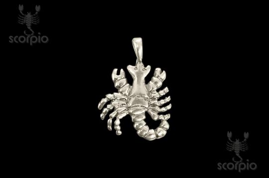 Scorpio Locket 