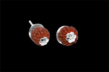 Divine Earrings in Silver - Design II