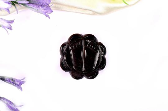 Laxmi Charan in Tiger Eye - 48 gms