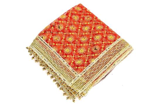 Devi Chunri Puja Net Cloth Red Gold Embroidery
