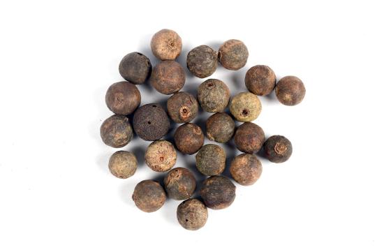 Rudraksha Fruits