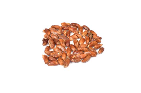 Rudraksha Seeds