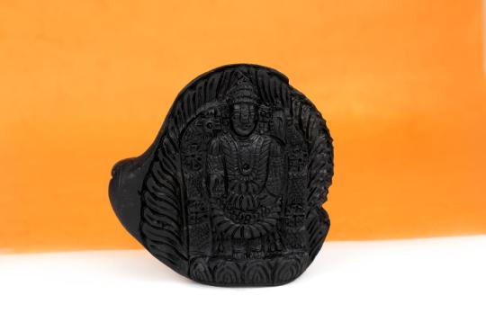 Tirupati Balaji Shaligram Murti - XIII