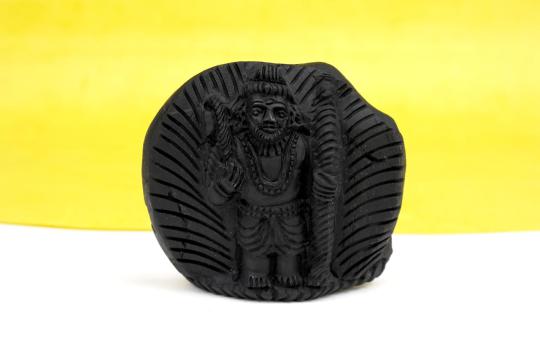 Dashavatar Shaligram Murti Set