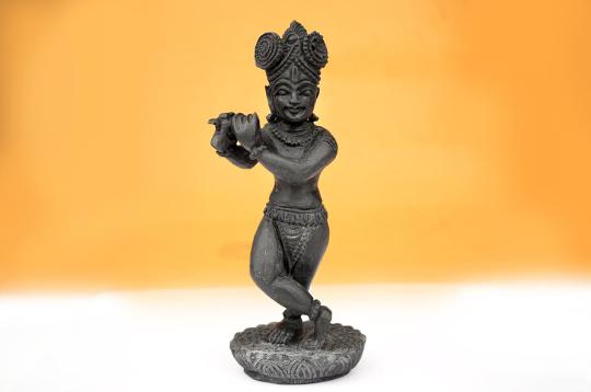 Radharamanji Shaligram Murti - I