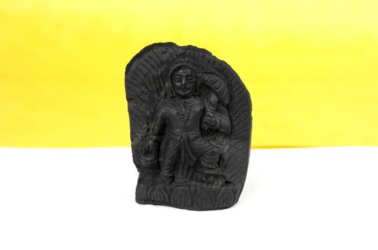 Vamana Shaligram Murti