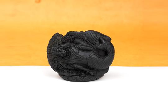 Matsya Shaligram Murti - III