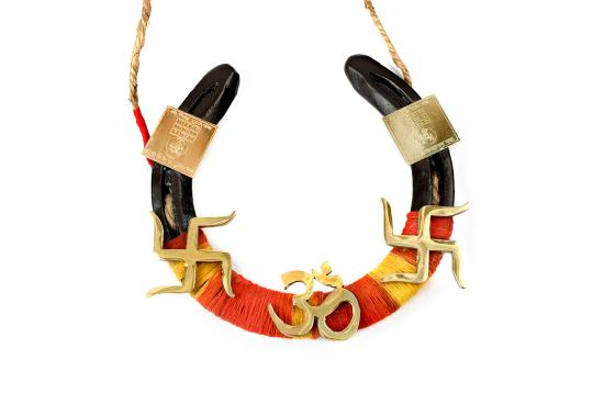 Articraft Horse shoe with swastik and Om