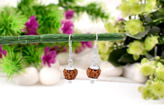 Earrings of Semi chikna Rudraksha Beads - Design II