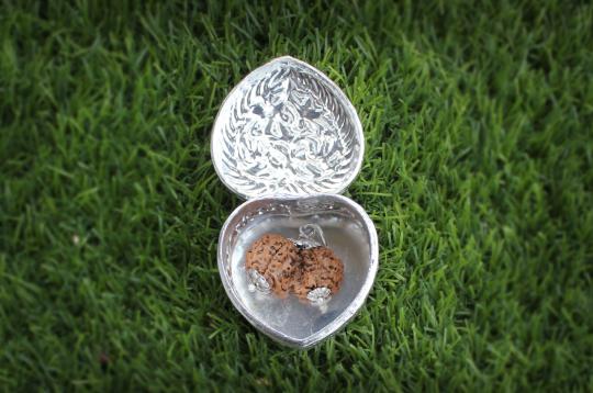 Gauri Shankar - A Gift of Love