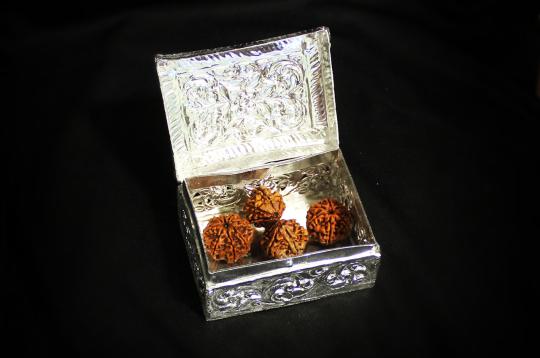Gift of Shiv-Parivaar