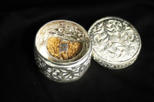 Gift of Shiva