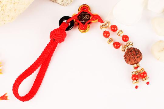 6 Mukhi Hanging for energy