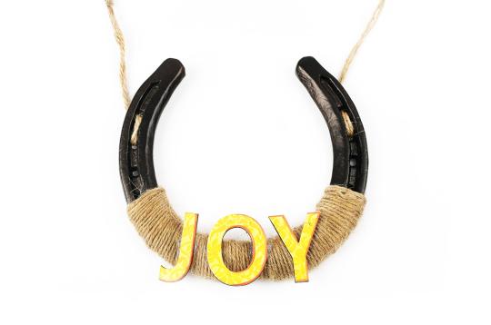 Horse Shoe Artifacts - Joy