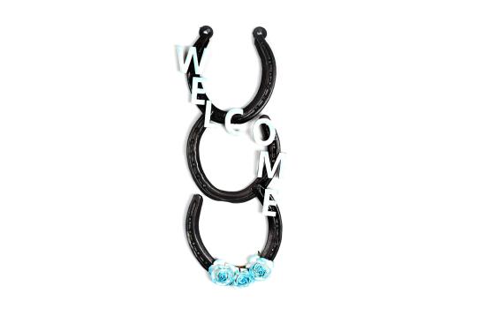 Horse Shoe Welcome Key Artifacts