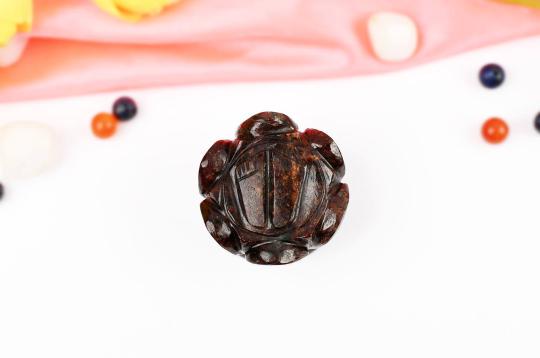 Laxmi Charan in Gomedh