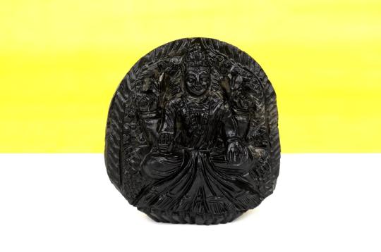 MahaLaxmi Shaligram Murti - I