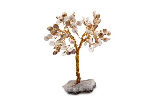 Natural Gomati Chakra - Chakra Vastu Tree