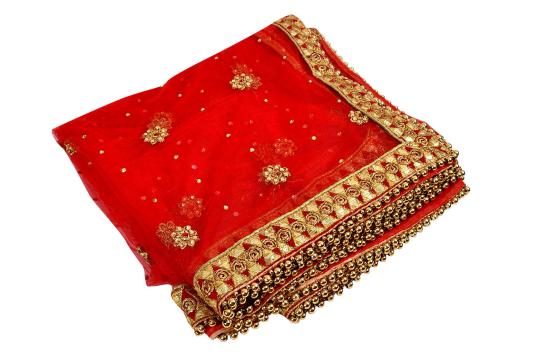 Netted Chunri - Design X