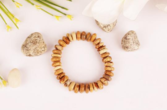 Picture Jasper Bracelet