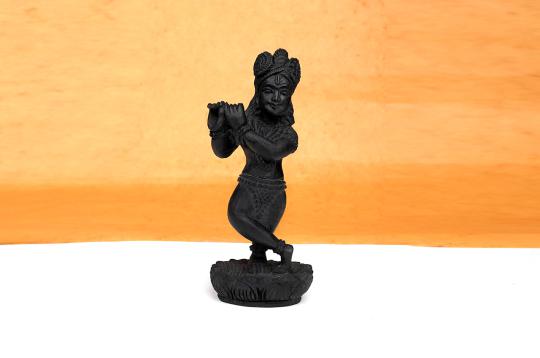 Radharamanji Shaligram Murti - II
