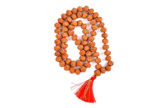 Rare 7 mukhi Mahalaxmi mala - 12mm button shape