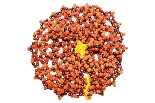 Rudraksha and Rose wood beads Meditation cap