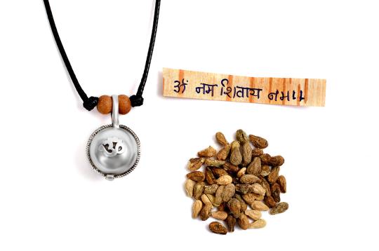 Shivlingi seeds kavach