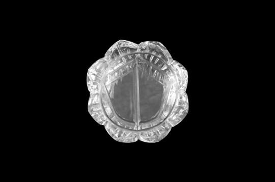 Sphatik Crystal Laxmi Charan - 12 gms