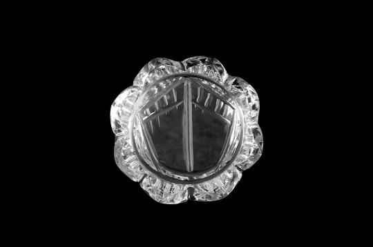 Sphatik Crystal Laxmi Charan - 14 gms